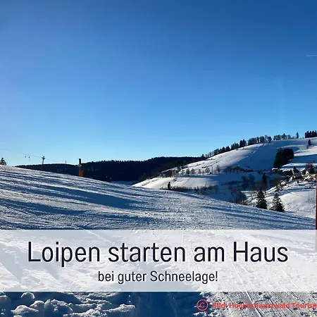 Herzgruen Direkt An Traumhaften Wanderwegen Balkon Mit Toller Aussicht Sauna Im Haus Tiefgarage E-Ladestation Todtnauberg Exterior photo