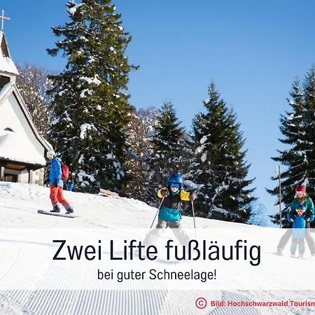 Herzgruen Direkt An Traumhaften Wanderwegen Balkon Mit Toller Aussicht Sauna Im Haus Tiefgarage E-Ladestation Todtnauberg Exterior photo