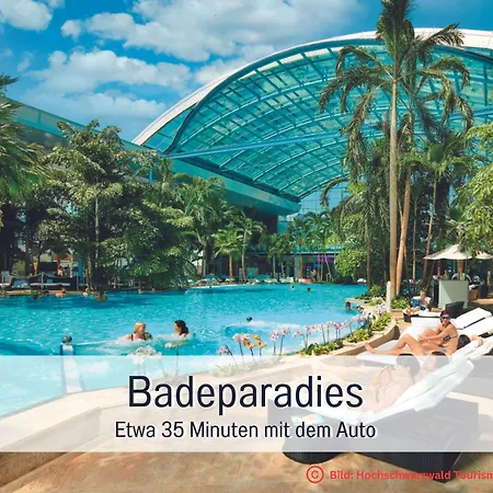 Herzgruen Direkt An Traumhaften Wanderwegen Balkon Mit Toller Aussicht Sauna Im Haus Tiefgarage E-Ladestation Todtnauberg Exterior photo