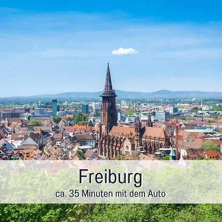 Herzgruen Direkt An Traumhaften Wanderwegen Balkon Mit Toller Aussicht Sauna Im Haus Tiefgarage E-Ladestation Todtnauberg Exterior photo