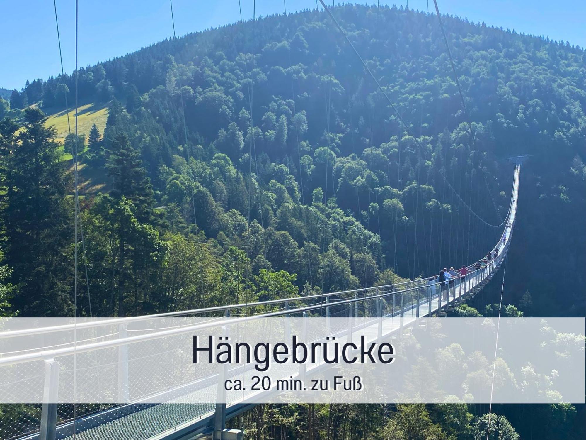 Apartment Herzgruen Direkt An Traumhaften Wanderwegen Balkon Mit Toller Aussicht Sauna Im Haus Tiefgarage E-ladestation