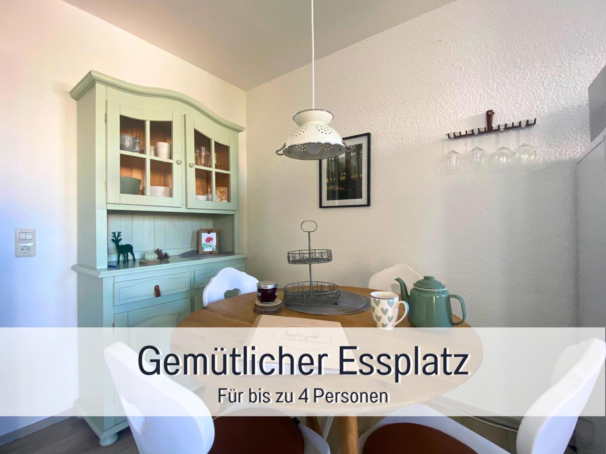 Herzgruen Direkt An Traumhaften Wanderwegen Balkon Mit Toller Aussicht Sauna Im Haus Tiefgarage E-ladestation Apartment *