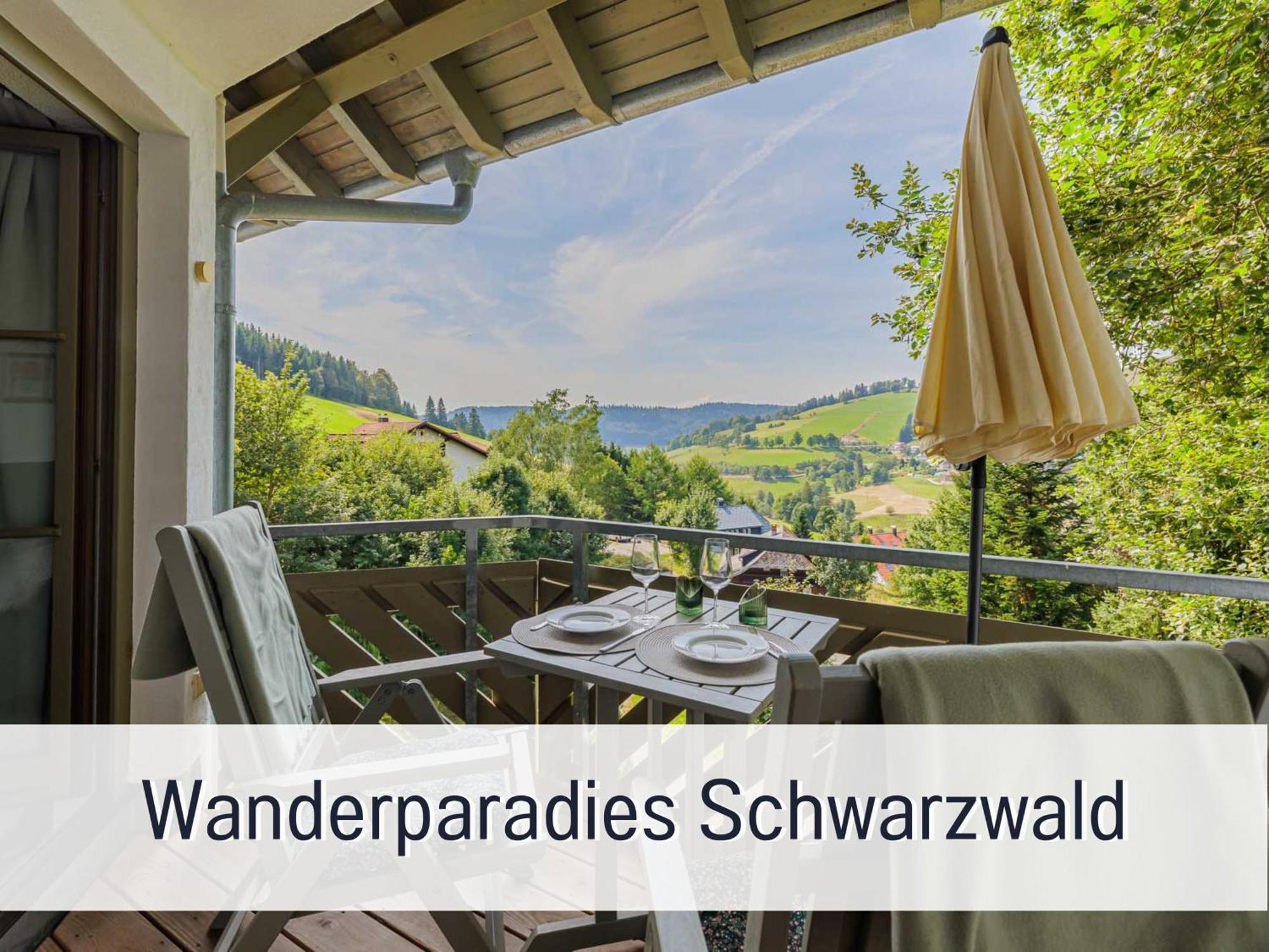 Apartment Herzgruen Direkt An Traumhaften Wanderwegen Balkon Mit Toller Aussicht Sauna Im Haus Tiefgarage E-ladestation